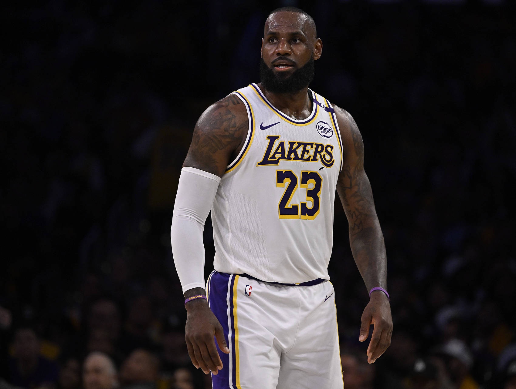 关于詹姆斯回归赛场,爆冷首场状态亮眼,中国队观众沸腾!的信息 关于詹姆斯回归赛场,爆冷首场状态亮眼,中国队观众沸腾!的信息